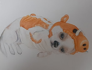 色鉛筆画】愛犬チワワを描いてみた。立体的or平面的どっちが正解なのか