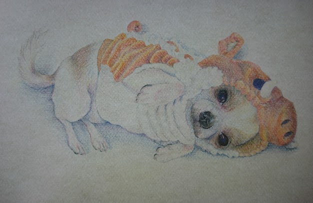 色鉛筆画】愛犬チワワを描いてみた。立体的or平面的どっちが正解なのか